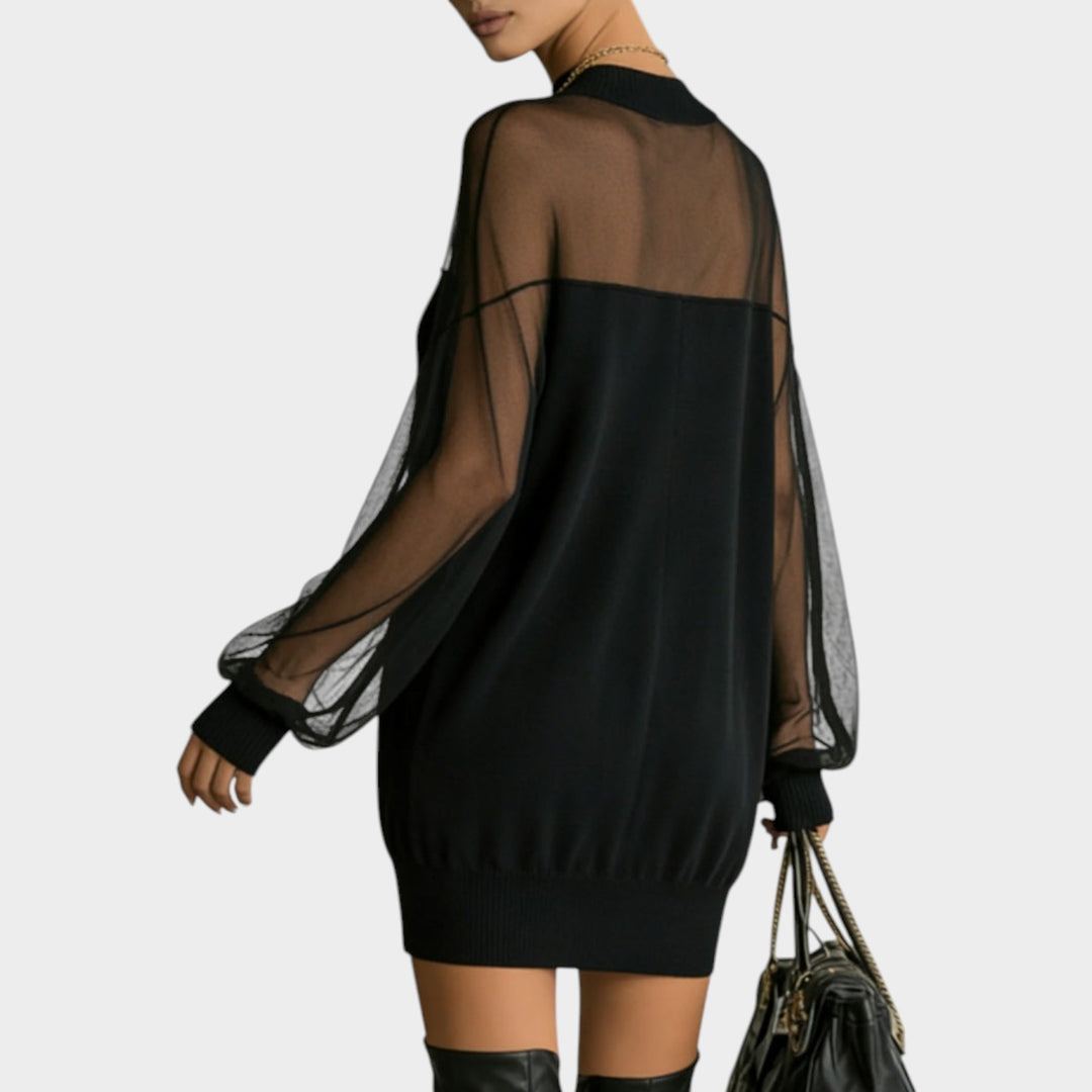 Sheer Nights Mini Dress
